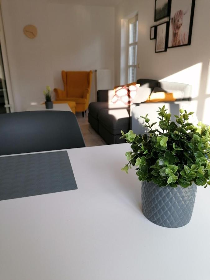 Ferienhaus Bremke Am Alfsee Rieste 외부 사진